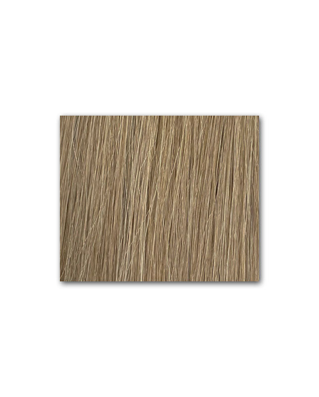 FANTSY TAPE IN HAIR EXTENSIONS #M6/12 16" 10PK