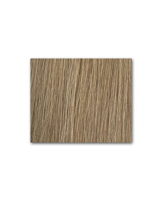 Fantsy Tape-In Hair Extensions #M6/12
